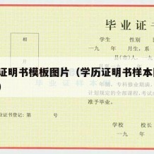 学历证明书模板图片（学历证明书样本图片 模板）