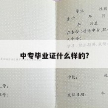 中专毕业证什么样的?