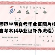 泉州师范学院自考毕业证图片模板（福建自考本科毕业证补办流程）