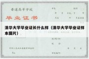 清华大学毕业证长什么样（清华大学毕业证样本图片）