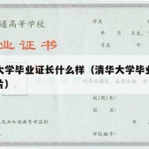 清华大学毕业证长什么样（清华大学毕业证样本图片）