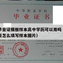 高中毕业证模板样本高中学历可以用吗（高中毕业证怎么填写样本图片）