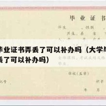 大学毕业证书弄丢了可以补办吗（大学毕业证书弄丢了可以补办吗）