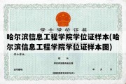 哈尔滨信息工程学院学位证样本(哈尔滨信息工程学院学位证样本图)