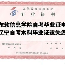 大连东软信息学院自考毕业证电子版图（辽宁自考本科毕业证遗失怎么办）