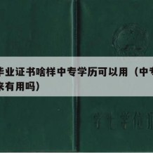 中专毕业证书啥样中专学历可以用（中专毕业证拿来有用吗）