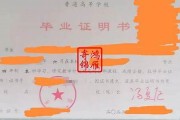 大学毕业证遗失证明模板(大学毕业证遗失声明怎么写)