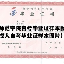 玉林师范学院自考毕业证样本图片（广西成人自考毕业证样本图片）