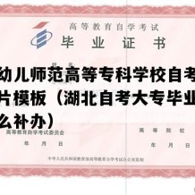 湖北幼儿师范高等专科学校自考毕业证图片模板（湖北自考大专毕业证丢了怎么补办）