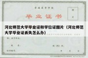 河北师范大学毕业证和学位证图片（河北师范大学毕业证丢失怎么办）