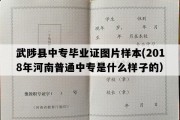 武陟县中专毕业证图片样本(2018年河南普通中专是什么样子的）