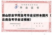 保山职业学院自考毕业证样本图片（云南自考毕业证模板）