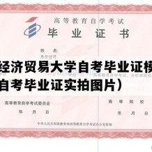 对外经济贸易大学自考毕业证模板（北京自考毕业证实拍图片）