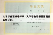 大学毕业证书啥样子（大学毕业证书里面是什么样子的）