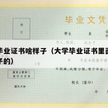 大学毕业证书啥样子（大学毕业证书里面是什么样子的）