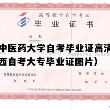 山西中医药大学自考毕业证高清样本（山西自考大专毕业证图片）