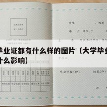 大学毕业证都有什么样的图片（大学毕业证丢了有什么影响）