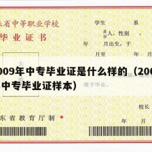 2009年中专毕业证是什么样的（2009年中专毕业证样本）