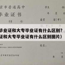 中专毕业证和大专毕业证有什么区别?（中专毕业证和大专毕业证有什么区别图片）