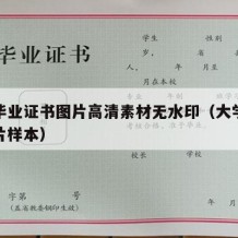 大学毕业证书图片高清素材无水印（大学毕业证图片样本）