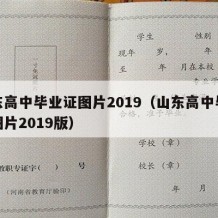 山东高中毕业证图片2019（山东高中毕业证图片2019版）