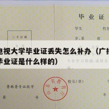 广播电视大学毕业证丢失怎么补办（广播电视大学毕业证是什么样的）