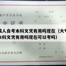 大专成人自考本科文凭有用吗现在（大专成人自考本科文凭有用吗现在可以考吗）