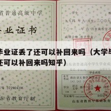 大学毕业证丢了还可以补回来吗（大学毕业证丢了还可以补回来吗知乎）