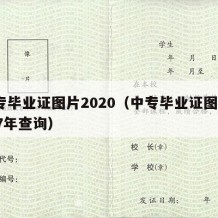 中专毕业证图片2020（中专毕业证图片2017年查询）