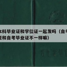 自考本科毕业证和学位证一起发吗（自考本科学位证和自考毕业证不一样嘛）