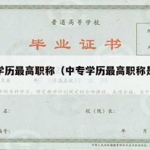 中专学历最高职称（中专学历最高职称是什么）