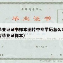 中专毕业证证书样本图片中专学历怎么写（普通中专毕业证样本）