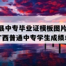 兴业县中专毕业证模板图片(2012年广西普通中专学生成绩单）