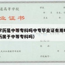 中专学历是中等专科吗中专毕业证有用吗（中专学历属于中等专科吗）