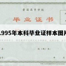 1995年本科毕业证样本图片