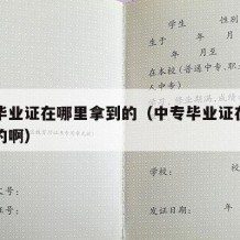 中专毕业证在哪里拿到的（中专毕业证在哪里拿到的啊）