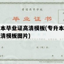 专升本毕业证高清模板(专升本毕业证高清模板图片)