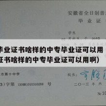 中专毕业证书啥样的中专毕业证可以用（中专毕业证书啥样的中专毕业证可以用啊）