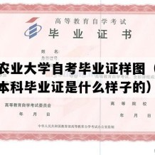 安徽农业大学自考毕业证样图（安徽自考本科毕业证是什么样子的）