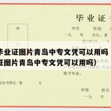 中专毕业证图片青岛中专文凭可以用吗（中专毕业证图片青岛中专文凭可以用吗）