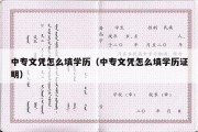 中专文凭怎么填学历（中专文凭怎么填学历证明）