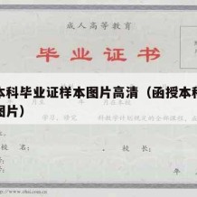 函授本科毕业证样本图片高清（函授本科学历证书图片）