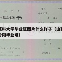 山西医科大学毕业证图片什么样子（山西医科大学汾阳毕业证）