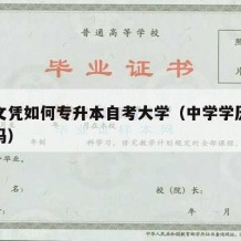 中学文凭如何专升本自考大学（中学学历能考大专吗）