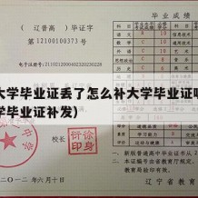 吉林大学毕业证丢了怎么补大学毕业证呢（吉林大学毕业证补发）