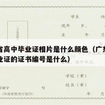 广东省高中毕业证相片是什么颜色（广东省高中毕业证的证书编号是什么）