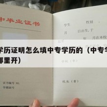 中专学历证明怎么填中专学历的（中专学历证明去哪里开）