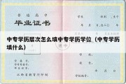 中专学历层次怎么填中专学历学位（中专学历填什么）