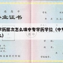 中专学历层次怎么填中专学历学位（中专学历填什么）