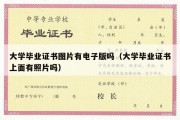 大学毕业证书图片有电子版吗（大学毕业证书上面有照片吗）